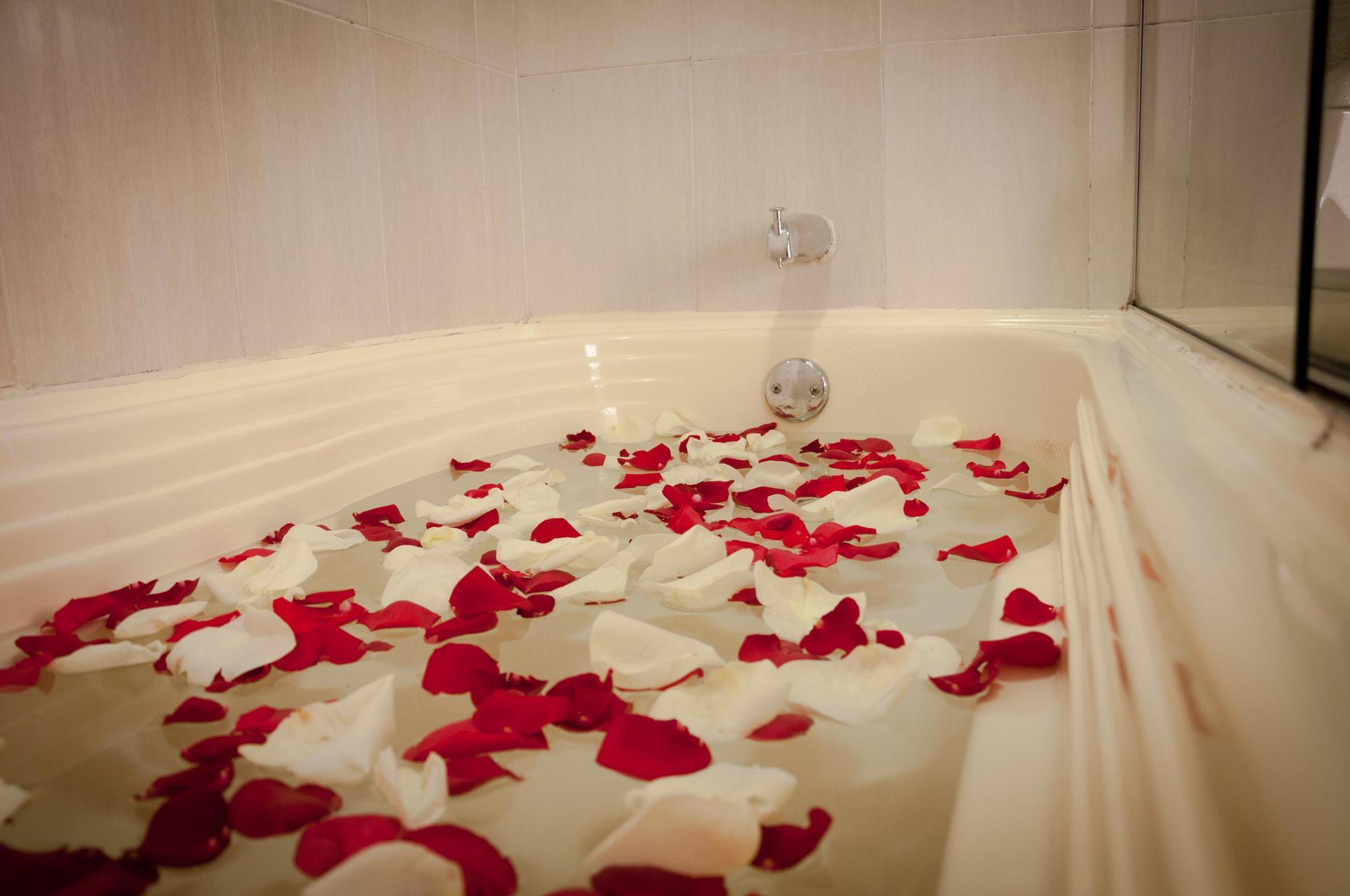 Hotel Dorado Gold Богота Экстерьер фото
